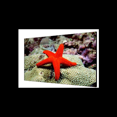 细节展示放大镜特效